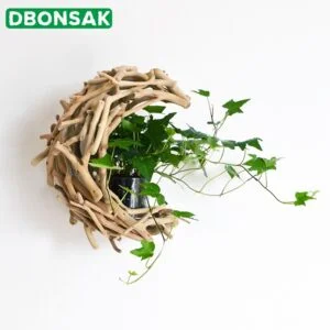 Porte Plante Bois Flotté